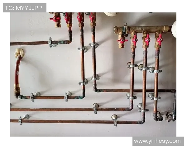 水管阀门安装与维护技巧解析提高家庭水管系统安全与效率