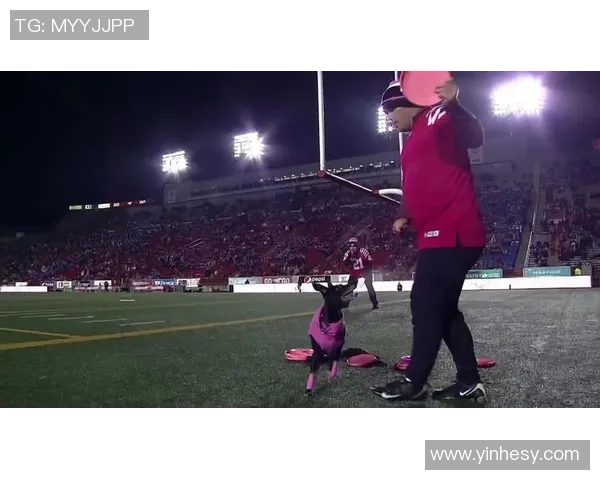 深圳飞盘队的区域防守体系解析与战术应用探讨