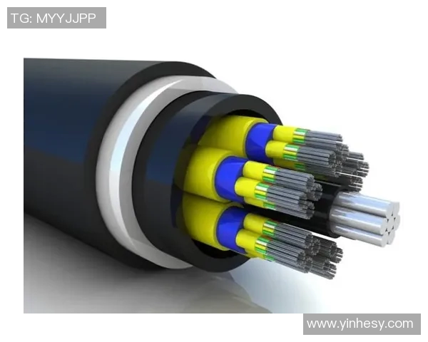 LNG在Major赛中的意识表现分析与战术解读