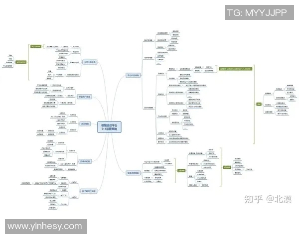 深圳极限运动队的运营策略与市场拓展深度分析
