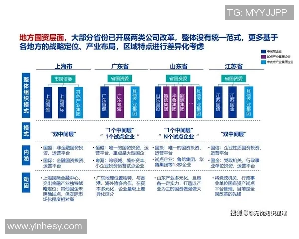 以全球经济一体化背景下的跨国企业联盟战略与发展趋势分析