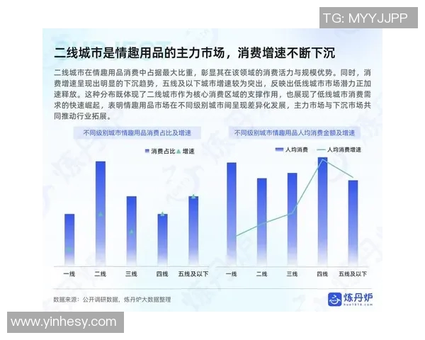 深入探讨V5在数据分析中的实力表现与未来发展潜力