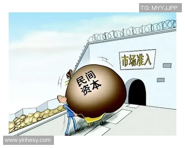 深圳滑板队的协同创新与团队配合的全新变革探讨